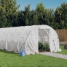 Оранжерия със стоманена рамка бяла 42 м² 14x3x2 м