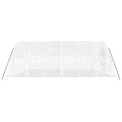 Оранжерия със стоманена рамка бяла 30 м² 6x5x2,3 м