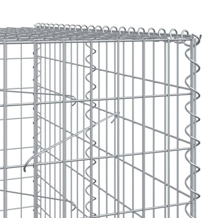Габионна кошница с покритие, 300x100x200 см, поцинковано желязо