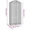 Дъговидна габионна кошница 100x50x200/220 см поцинковано желязо