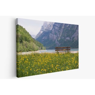 Картина на Пейка насред гората - k1062746 -PAGAGAL