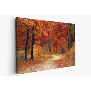 Картина на Есенна горска пътека - k1072821 -PAGAGAL
