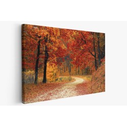 Картина на Есенна горска пътека - k1072821 -PAGAGAL
