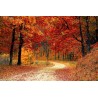 Картина на Есенна горска пътека - k1072821 -PAGAGAL