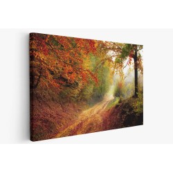 Картина на Пътека в гората - k1072823 -PAGAGAL