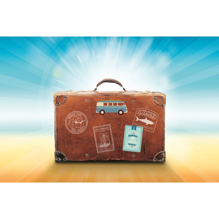 Картина на Куфар готов за път - k1149289 -PAGAGAL
