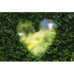 Картина на Сърце в плета - k1192662 -PAGAGAL
