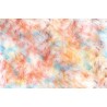 Картина на Пъстър фон - k1266602 -PAGAGAL
