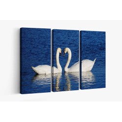 Картина на Двойка лебеди - k1299971 -PAGAGAL