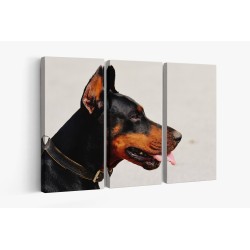Картина на Красив Доберман - k1334497 -PAGAGAL
