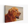 Картина на Golden Retriever в близък план - k1342265 -PAGAGAL