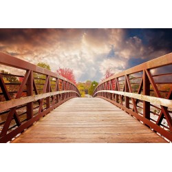Картина на Дървен мост в парка - k1385938 -PAGAGAL