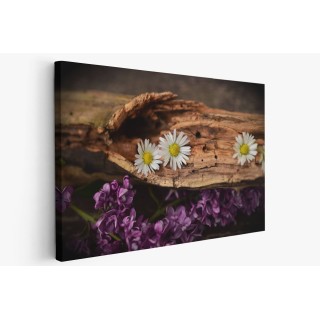 Картина на Маргаритки в дънер - k1406895 -PAGAGAL