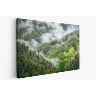 Картина на Мъгла в гората - k1476021 -PAGAGAL