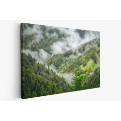 Картина на Мъгла в гората - k1476021 -PAGAGAL