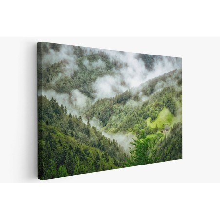 Картина на Мъгла в гората - k1476021 -PAGAGAL