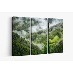 Картина на Мъгла в гората - k1476021 -PAGAGAL