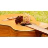 Картина на Класическа китара и цветя - k1585657 -PAGAGAL