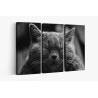 Картина на Дремещ котарак - k1634369 -PAGAGAL