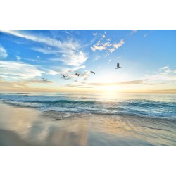 Картина на Птици над морето - k1852945 -PAGAGAL