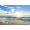 Картина на Птици над морето - k1852945 -PAGAGAL