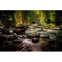 Картина на Малък горски поток - k1866543 -PAGAGAL