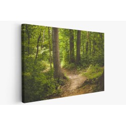 Картина на Лятна горска пътека - k1868028 -PAGAGAL