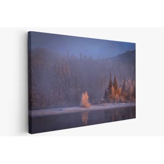 Картина на Мъгла в гората - k1900345 -PAGAGAL