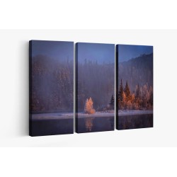 Картина на Мъгла в гората - k1900345 -PAGAGAL