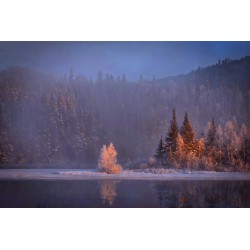 Картина на Мъгла в гората - k1900345 -PAGAGAL