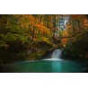 Картина на Малък водопад в гората - k1982163 -PAGAGAL