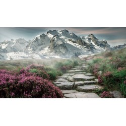 Картина на Пътека в национален парк - k2031539 -PAGAGAL