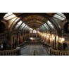 Картина на Историческия музей в Англия - k2203648 -PAGAGAL