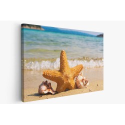 Картина на Морска звезда в пясъка - k2315434 -PAGAGAL