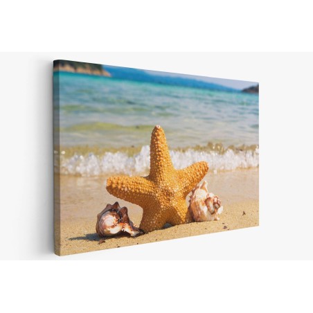 Картина на Морска звезда в пясъка - k2315434 -PAGAGAL