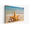 Картина на Морска звезда в пясъка - k2315434 -PAGAGAL