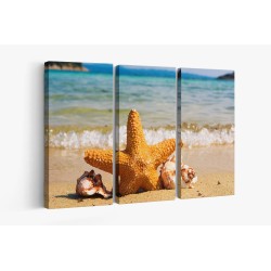 Картина на Морска звезда в пясъка - k2315434 -PAGAGAL