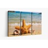 Картина на Морска звезда в пясъка - k2315434 -PAGAGAL