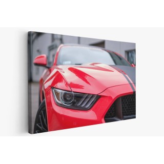 Картина на Форд мустанг - k2338377 -PAGAGAL