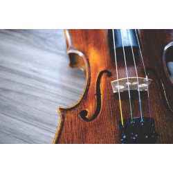 Картина на Цигулка в близък план - k2560312 -PAGAGAL