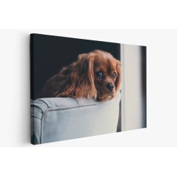 Картина на Кафяво кученце - k2592307 -PAGAGAL
