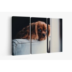 Картина на Кафяво кученце - k2592307 -PAGAGAL