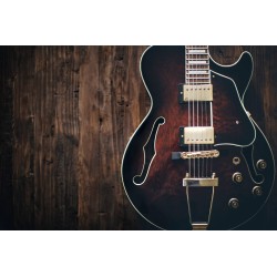 Картина на Тяло на китара - k2616842 -PAGAGAL
