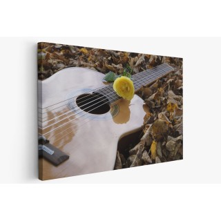 Картина на Киатара и роза - k2806928 -PAGAGAL