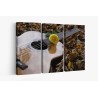 Картина на Киатара и роза - k2806928 -PAGAGAL