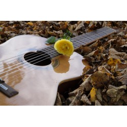 Картина на Киатара и роза - k2806928 -PAGAGAL