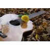 Картина на Киатара и роза - k2806928 -PAGAGAL