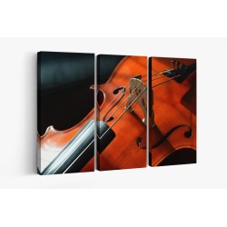 Картина на Цигулка в близък план - k2817159 -PAGAGAL