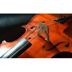 Картина на Цигулка в близък план - k2817159 -PAGAGAL