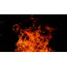 Картина на Горски пламъци - k2821775 -PAGAGAL